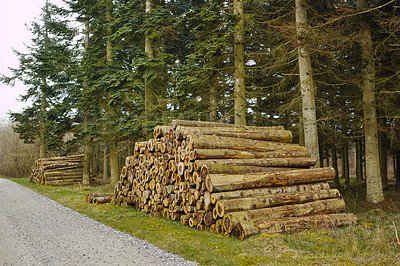 Buy stock photo Wood, pile and timber on ground in forest by road for fuel, heat and natural material for construction. Stack, tree trunk and carpentry supplier with pattern, lumber and sustainability with logging