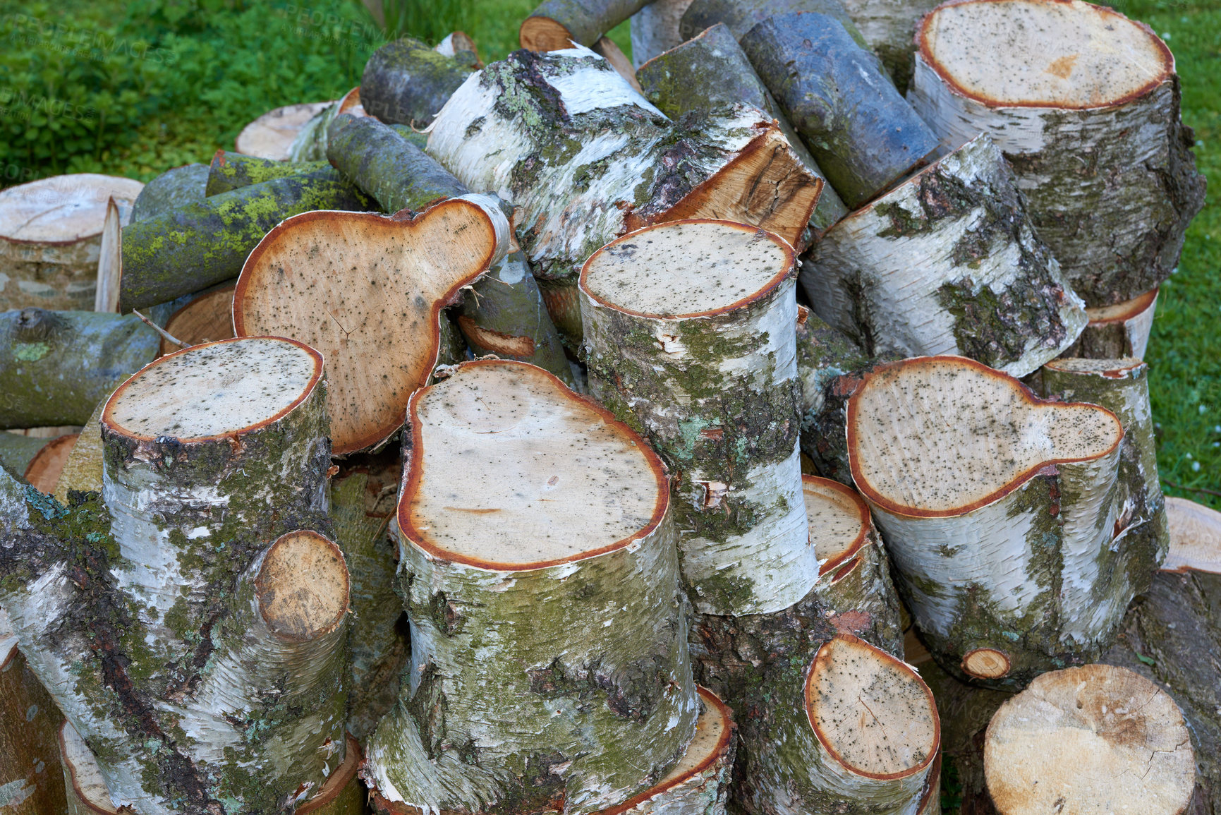 Buy stock photo Wood, pile and timber in outdoor forest environment for fuel, heat and natural material for production. Stack, tree trunk and carpentry supply with blocks, lumber and logs for furniture in nature