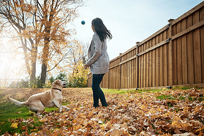 Buy stock photo Home, Asian woman and dog with ball in backyard for friendship, bonding and trust for care and support. Female person, animal and pet owner with playing for fun, relax and enjoy welfare and adoption