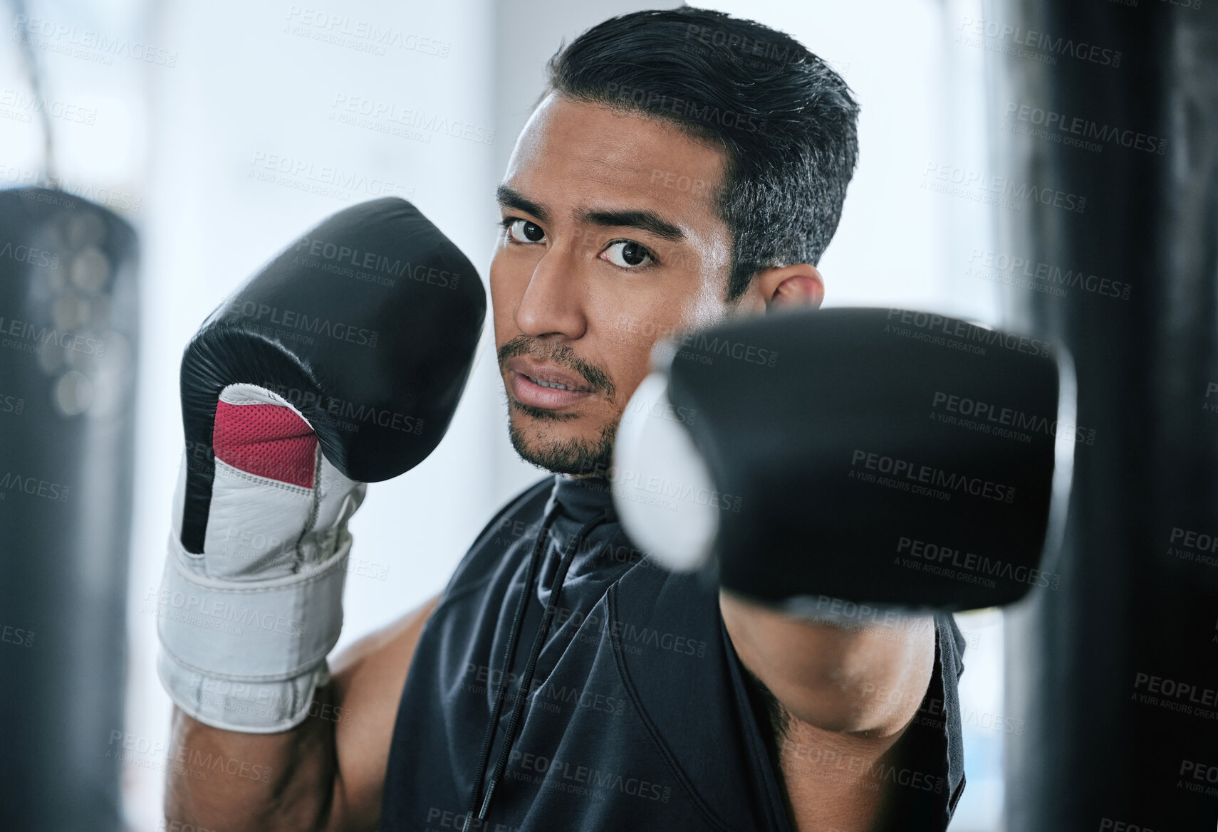 Buy stock photo Asian man, portrait and boxer with gloves for workout, exercise or self defense training at gym. Serious fighter, young athlete or male person in boxing club with punching bag for practice or fitness