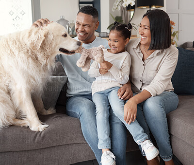 Buy stock photo Parents, kid and dog on sofa for play, bonding and animal care in living room. Games, child and family pet on couch for trust, Golden retriever adoption and support at home and fun with teddy bear