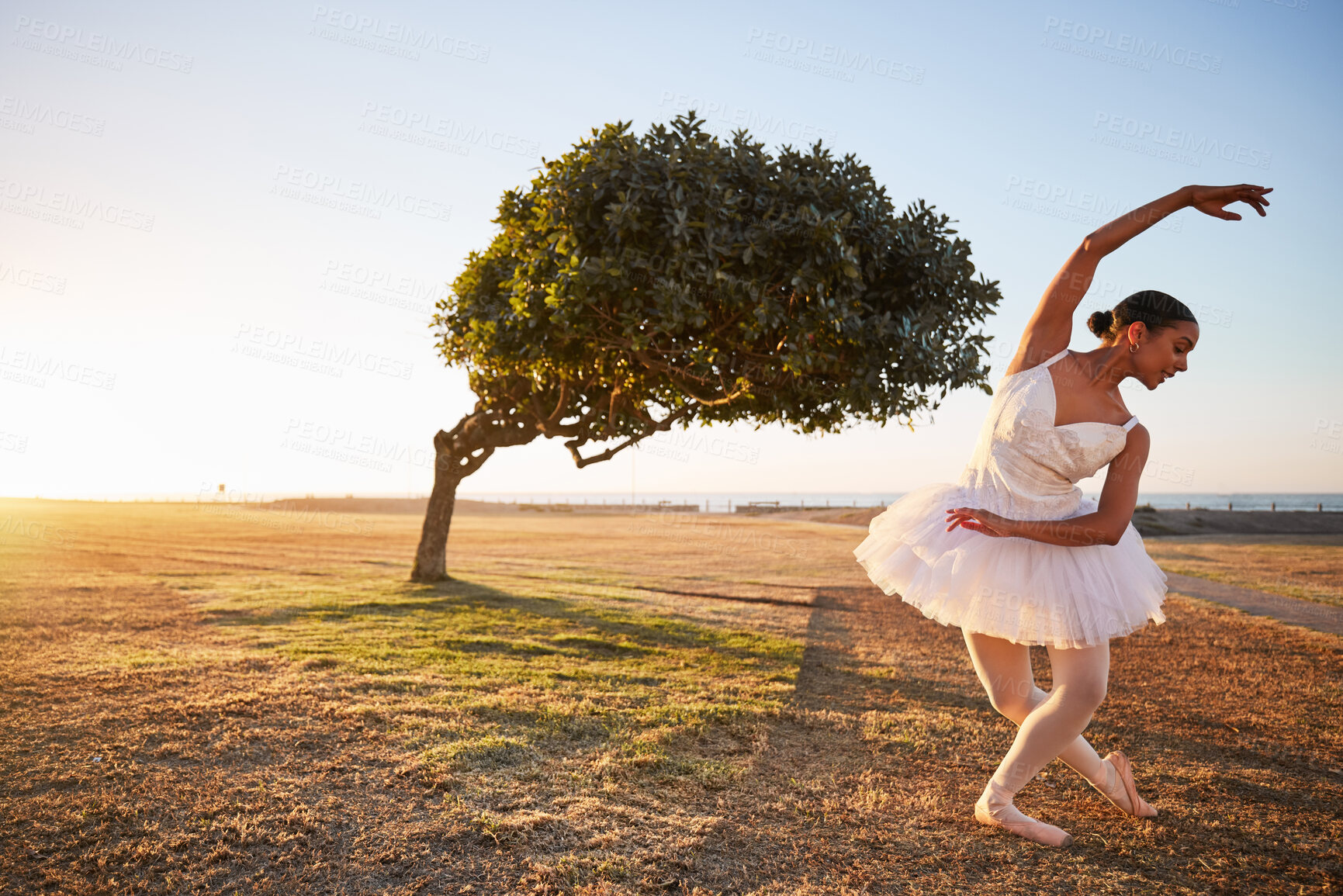 Buy stock photo Ballet, tree and woman in nature for dance, creative and freedom with energy, park and balance. Ballerina, garden and fitness outdoor by field for aesthetic, performance and exercise as artist