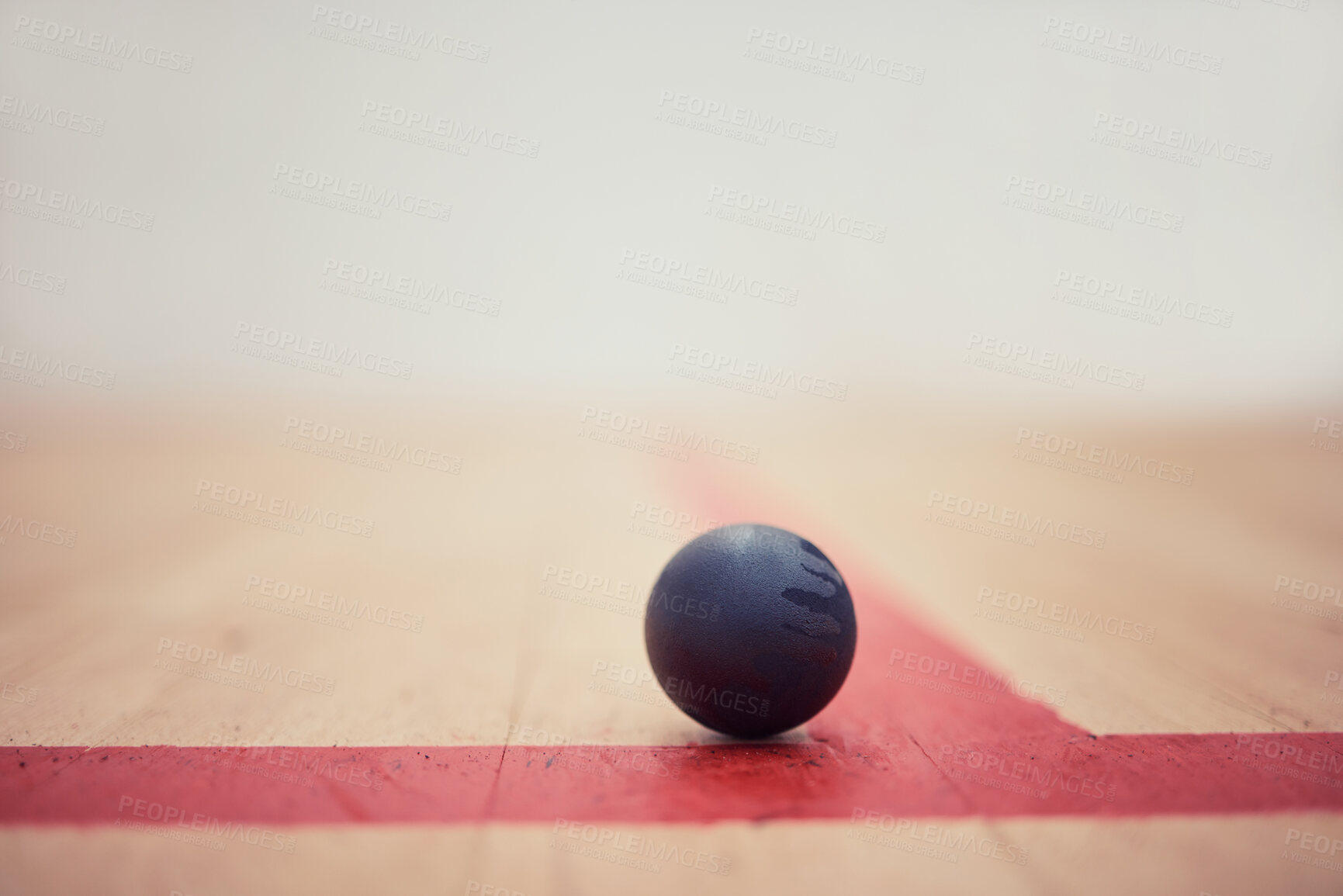 Buy stock photo Squash, ball and sports on court for game with rubber material, bounce speed or durable of texture covering. Equipment, resilience and performance control, impact absorption and temperature sensitive
