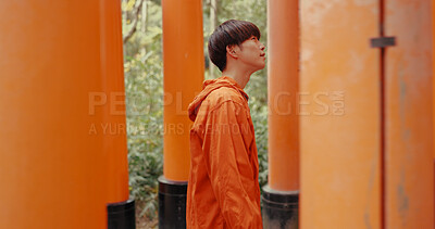 Buy stock photo Japanese man, walk and torii gate for religion in shinto culture for thinking, ideas and nature in forest. Person, statue and memory on spiritual journey, Fushimi Inari shrine and faith in Kyoto