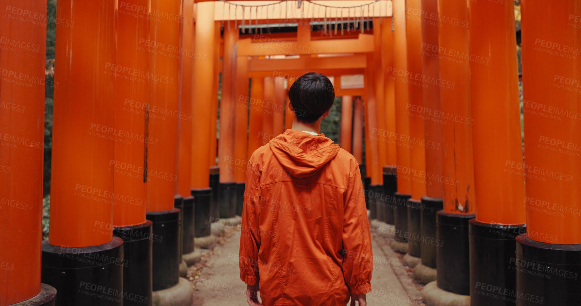 Buy stock photo Man, outdoor and walk by shinto torii gate, back and culture for thinking, ideas and nature in forest. Person, statue and memory on spiritual journey, Fushimi Inari shrine and architecture in Kyoto