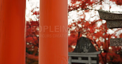 Buy stock photo Architecture, torii gates and pillars at temple for religion, travel and traditional landmark for spirituality. Buddhism, Japanese culture and trip to Kyoto, prayer and Fushimi Inari Taisha Shrine