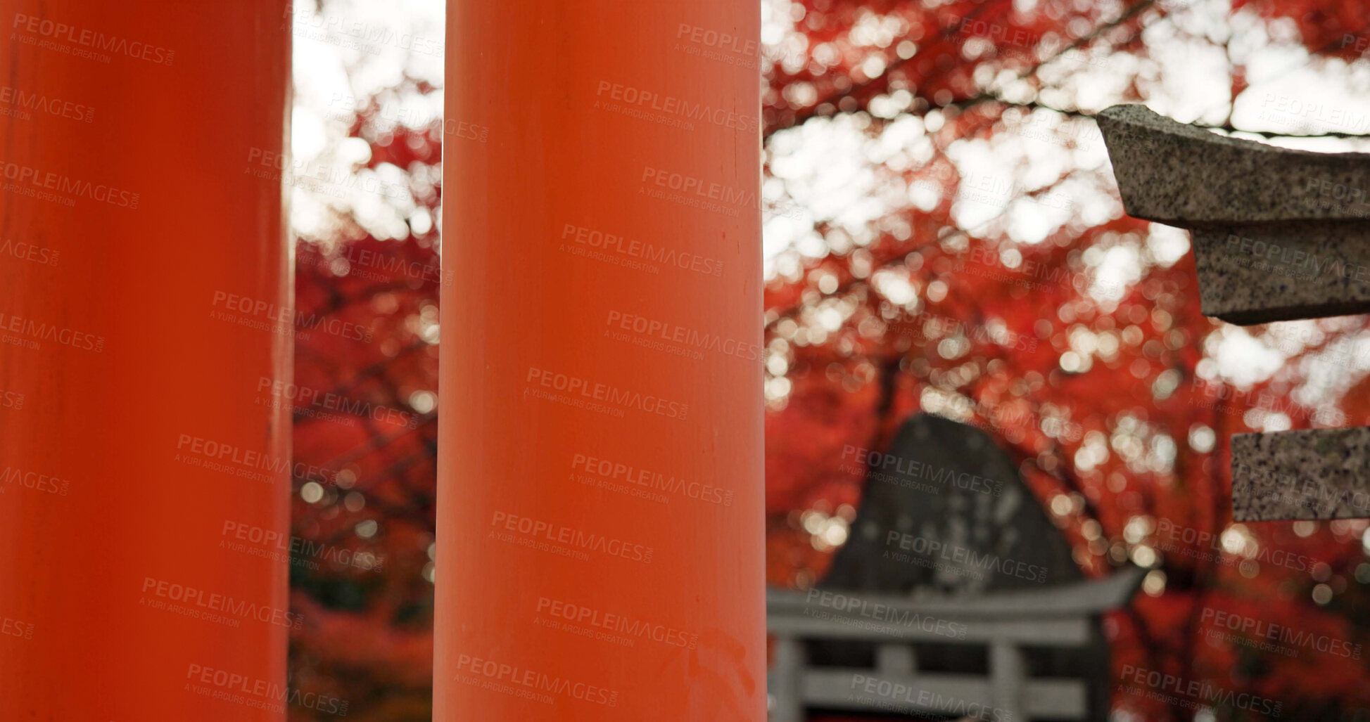 Buy stock photo Architecture, torii gates and pillars at temple for religion, travel and traditional landmark for spirituality. Buddhism, Japanese culture and trip to Kyoto, prayer and Fushimi Inari Taisha Shrine