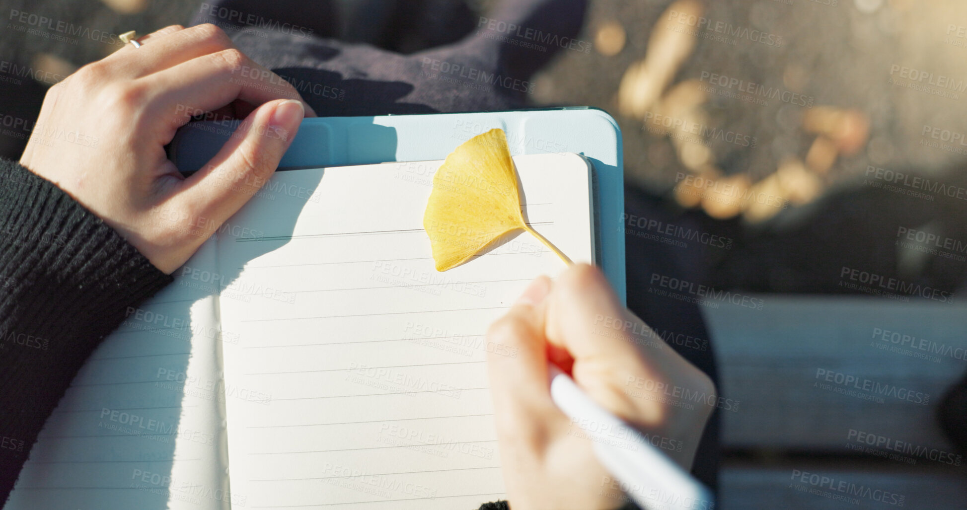 Buy stock photo Person, hands and writing in book on park bench for reminder, agenda or memory in nature above. Top view and closeup of writer or journalist taking notes in diary or notebook with pen for planning