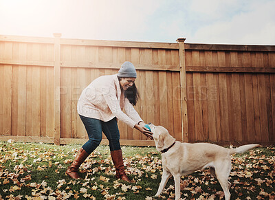 Buy stock photo Home, woman and smile with dog on backyard for friendship, bonding and trust with care and support. Female person, pet and animal owner with playing for fun, relax and enjoy for welfare and adoption