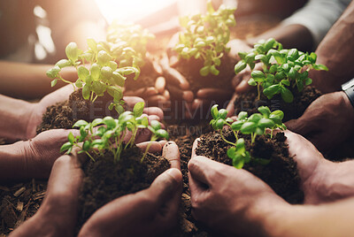 Buy stock photo People, hands and soil with plant for sprout, natural growth or eco friendly environment in nature. Closeup of group, team or community with seed or sappling for harvest, production or fresh produce