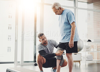 Buy stock photo Senior, man and physiotherapist with knee brace for support, circulation and compression for healing. Fitness, physiotherapy and elderly person with joint wrap, mobility training and exercise in gym