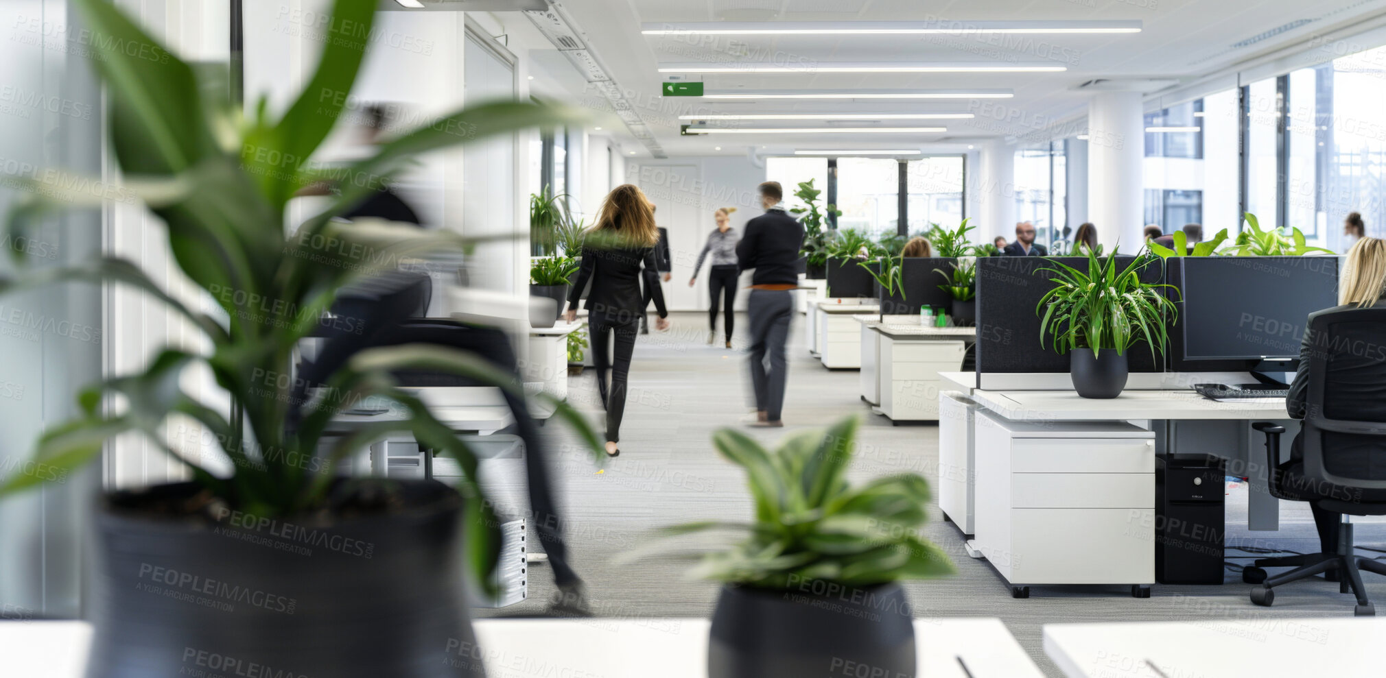 Buy stock photo Office, busy and business people with plants in company and walking in workplace with computer on desk. Blur, motion and group in coworking space for rush, workflow and staff moving fast at workspace