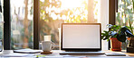 Office, interior and laptop screen on desk with mockup space for creative business, career and room. Plants, sunshine and technology with documents by window for online, research and web development