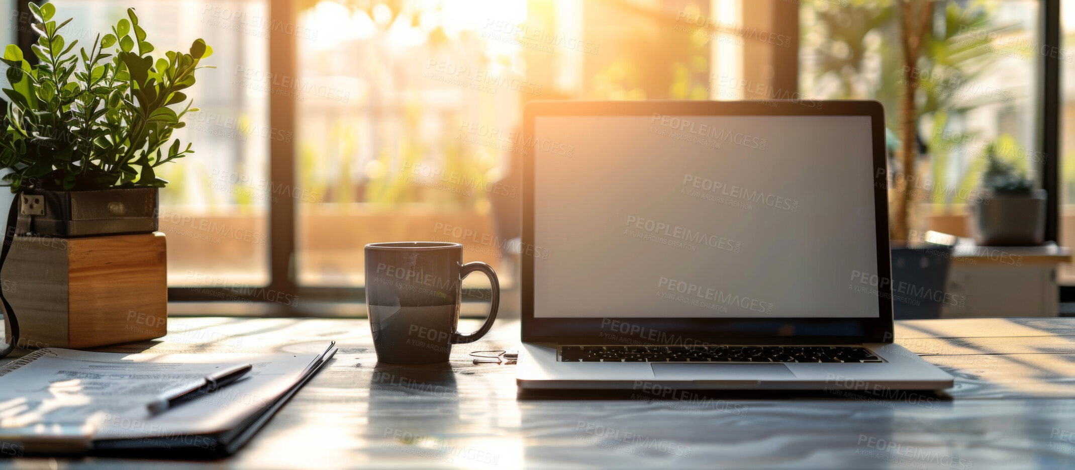 Buy stock photo Business, interior and laptop screen on table with mockup space for creative company, office or room. Plants, sunshine and technology with notebook at desk for online information, website or banner