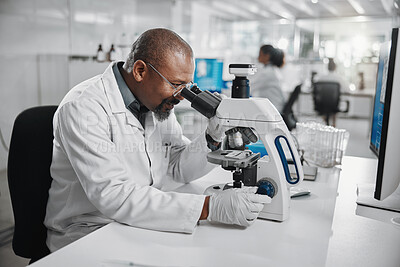 Buy stock photo Scientist, black man and research with microscope in lab for medical, development and dna test. Mature person, science and biotech with review for stem cell, investigation and growth in vaccine study