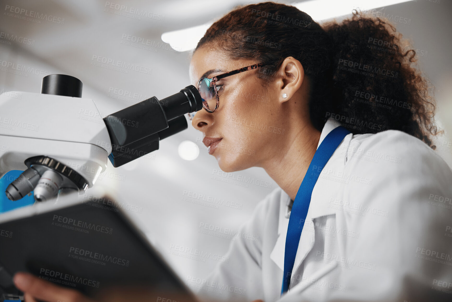 Buy stock photo Microscope, science and tablet with woman in laboratory for medical or pharmaceutical research. Innovation, sample and technology with scientist at work for analysis, development or experiment