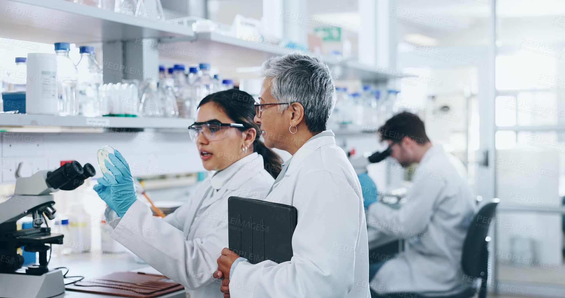 Buy stock photo Woman, science and lab research with mentor, specimen discussion or compliance manager for pharmaceutical company. Vaccine, drug development and resistant bacteria analysis, talking and microbiology