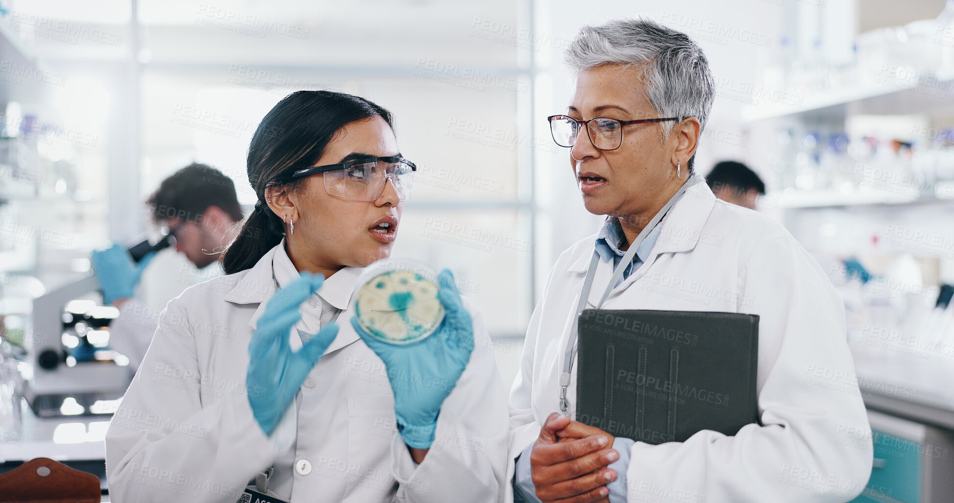 Buy stock photo Science, people and discussion with petri dish in laboratory for medical research, experiment and practical exam. Girl, woman and biochemistry internship and conversation on study and analysis.