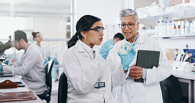 Buy stock photo Science, people and training with petri dish in laboratory for medical research, experiment and practical exam. Girl, woman and biochemistry internship and discussion on study and clinical analysis.