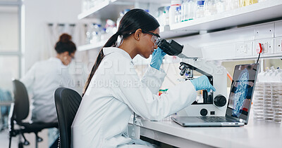 Buy stock photo Laptop, research and woman with microscope, science and check experiment for cancer treatment. Person, scientist and employee with lab equipment, vaccine and cure development with dna and bacteria