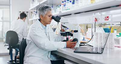 Buy stock photo Mature, biotech or woman with microscope, laboratory OR medical experiment for cancer treatment. Person, scientist or researcher with science equipment, test or sample with dna, particles or bacteria