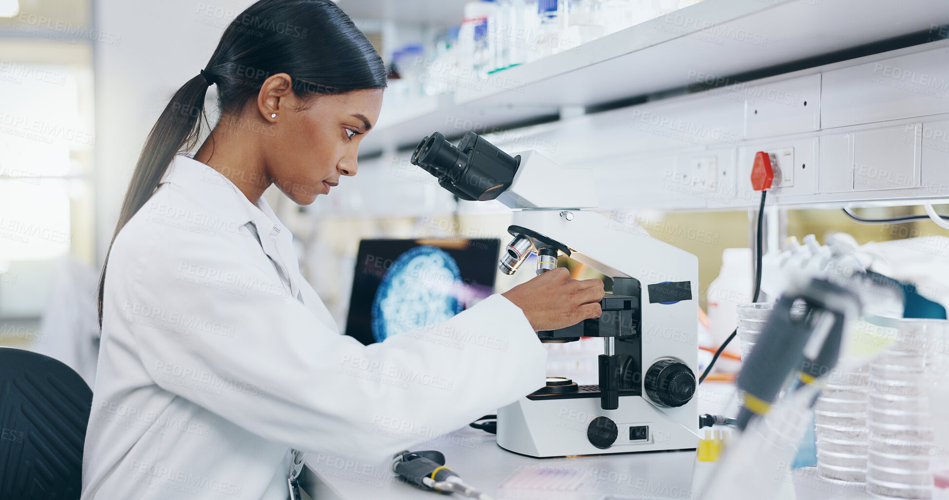 Buy stock photo Woman, scientist and working with microscope in laboratory, microbiology and research study of organisms. Specimen, analysis and bacteria or antimicrobial resistance, medicine and vaccine development