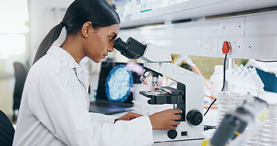 Buy stock photo Medical, biotech and woman with microscope, science and check experiment for cancer treatment. Person, scientist and researcher with lab equipment, testing and sample with dna, particles and bacteria