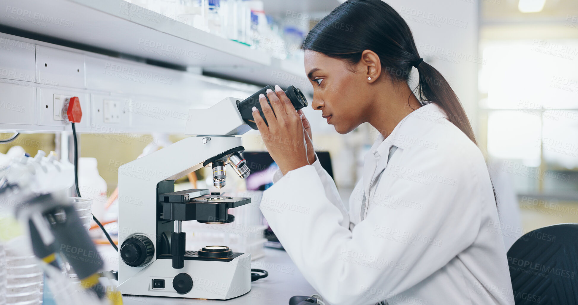 Buy stock photo Sample, research and woman with microscope, science and check experiment for DNA analysis. Person, scientist and employee with lab equipment, forensic testing and cure development to study bacteria