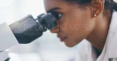 Buy stock photo Studying, research and woman with microscope, science and sample for bacteria, cure and breakthrough. Person, scientist and employee with lab equipment, medical experiment and particles for vaccine