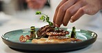 Hands, food and herb of dish for fine dining, culinary institute or luxury restaurant. Chef, healthy protein or garnish on plate for display, catering and hospitality for event in commercial kitchen