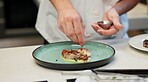 Hands, food or sprinkle on dish for presentation, culinary school or luxury restaurant. Chef, healthy protein or spices on plate for seasoning, fine dining and hospitality for mediterranean cuisine