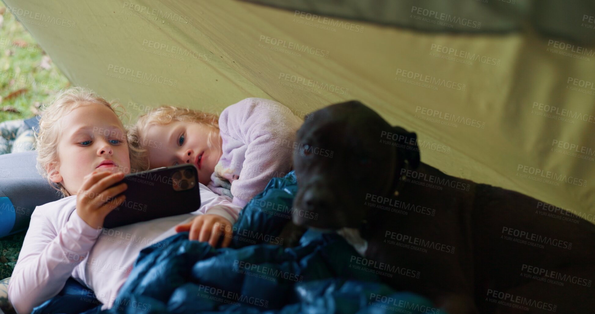 Buy stock photo Relax, children and dog with phone for camping with watching movies, bonding and streaming videos in nature. Family, girl and mobile in tent of communication, online entertainment and adventure 