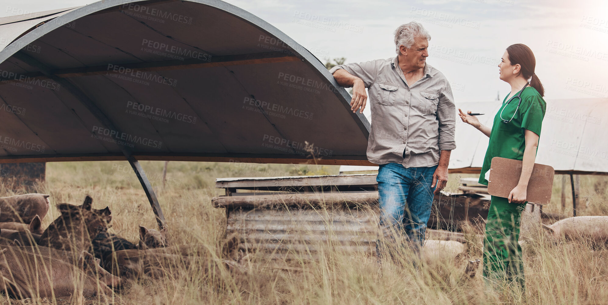 Buy stock photo Shot of a veterinarian talking to a mature man on his farm