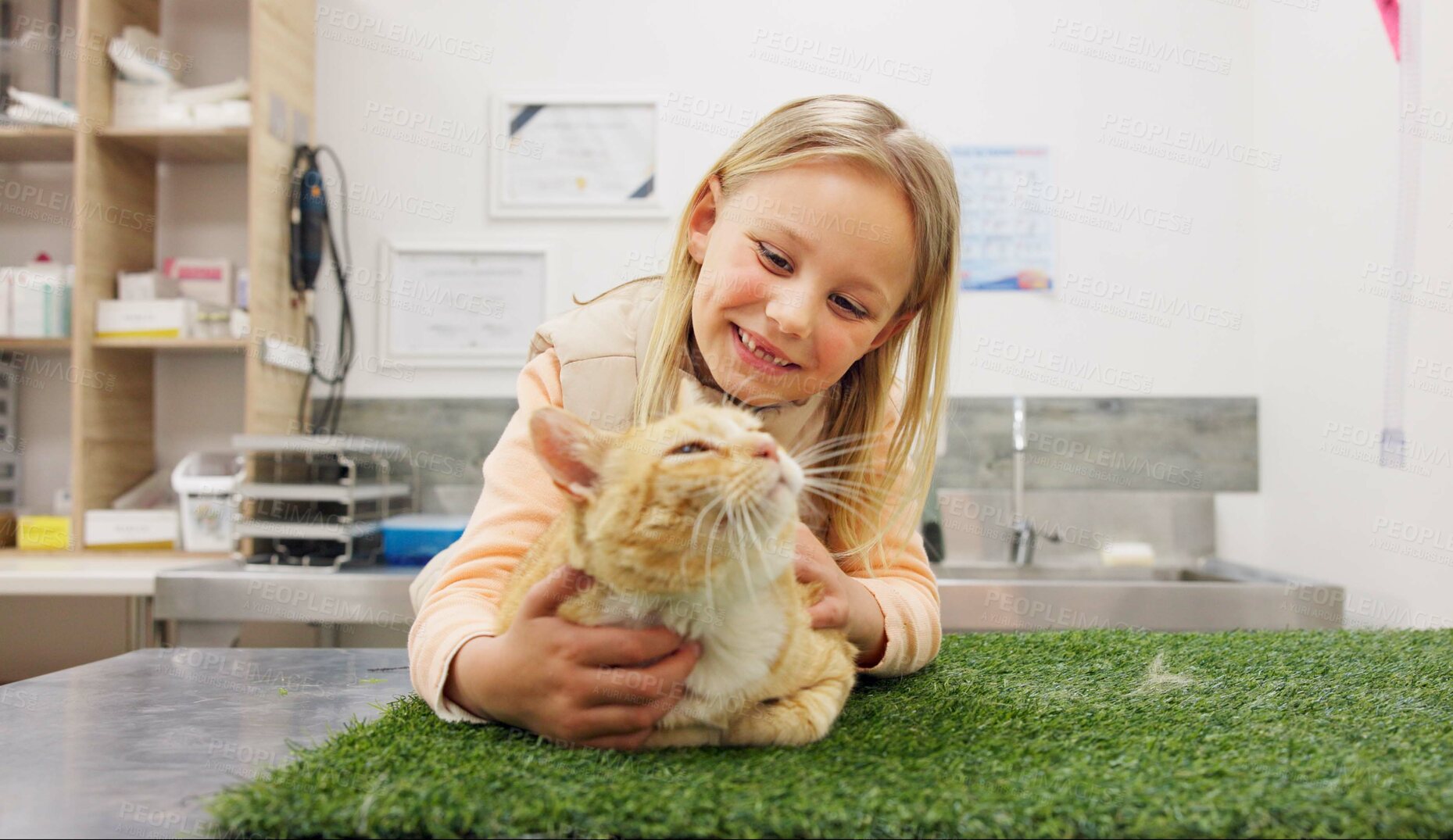 Buy stock photo Child, cat and vet for checkup in clinic with love, care and medical exam for animal services of health. Smile, girl and kitten for healthcare, neutered surgery and assessment of veterinary support