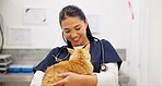 Cat, doctor and care for checkup in clinic with love, hug and medical exam for animal services of health. Smile, woman and kitten for healthcare, surgery recovery and veterinary support of wellness
