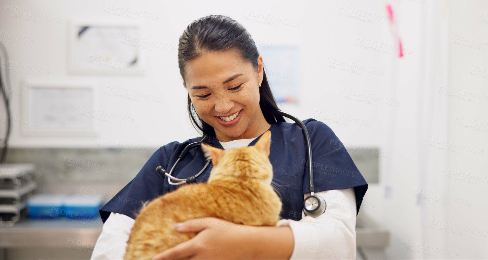 Buy stock photo Cat, doctor and care for checkup in clinic with love, hug and medical exam for animal services of health. Smile, woman and kitten for healthcare, surgery recovery and veterinary support of wellness
