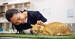 Woman, cat and vet for checkup in clinic with love, care and medical exam for animal services of health. Smile, doctor and kitten for healthcare, surgery recovery or assessment of veterinary support
