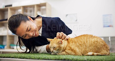 Buy stock photo Woman, cat and vet for checkup in clinic with love, care and medical exam for animal services of health. Smile, doctor and kitten for healthcare, surgery recovery or assessment of veterinary support