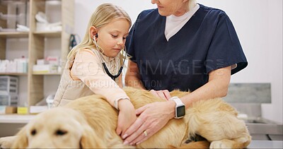 Buy stock photo Child, veterinarian and dog in clinic with woman, stethoscope and listening for heartbeat cardiology for pulse. Girl, healthcare and professional examination in animal hospital, diagnosis and medical