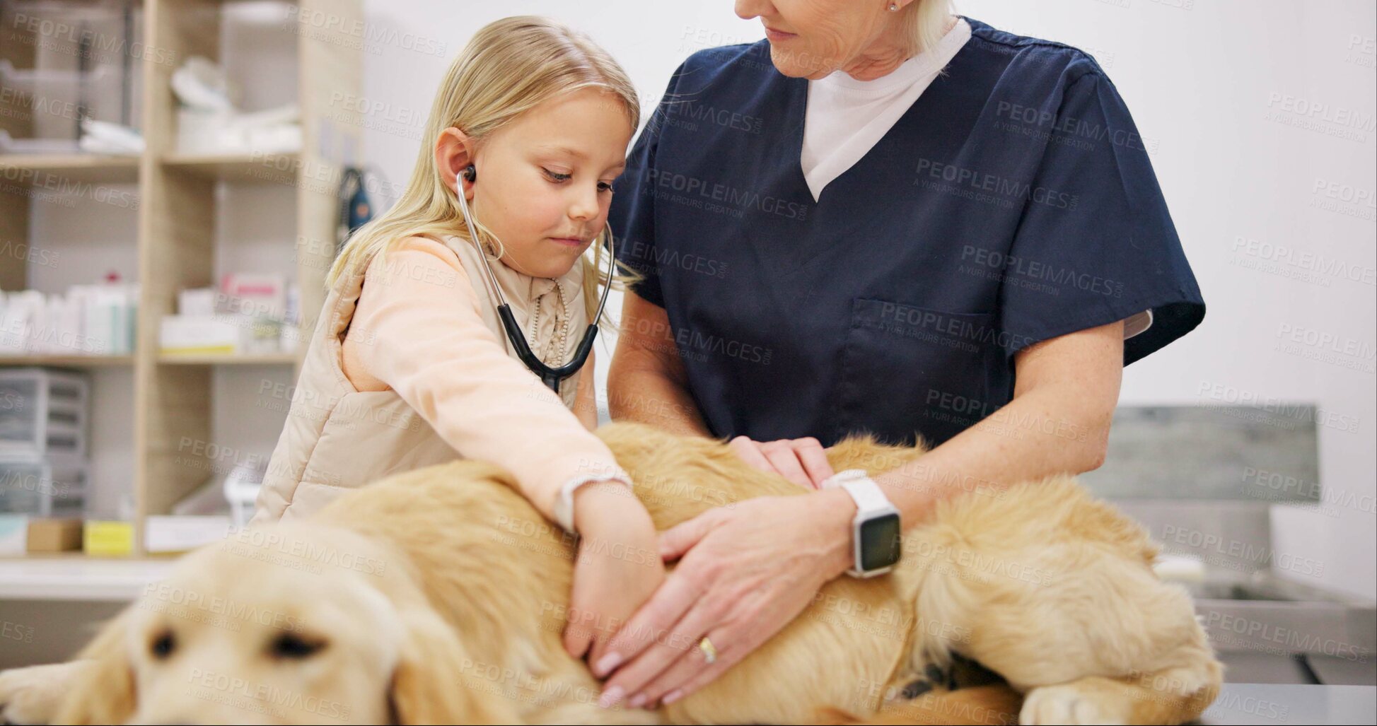 Buy stock photo Child, veterinarian and dog in clinic with woman, stethoscope and listening for heartbeat cardiology for pulse. Girl, healthcare and professional examination in animal hospital, diagnosis and medical