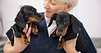 Happy, mature and woman with dogs in vet for professional care or wellness, behavior therapy and animal treatment. Canine healthcare, holistic veterinary medicine and check up for pet dachshund.