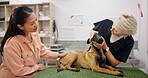 Mature, doctor and dog in clinic with owner, examine and check eyes in veterinarian hospital. Pupil response, conjunctiva and tear production with woman, healthcare and wellness with pet insurance