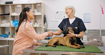 Buy stock photo Veterinarian, handshake and woman with dog in clinic, happy and thank you gesture with owner. Pet insurance, animal healthcare and support for medical service, german shepherd and shaking hands