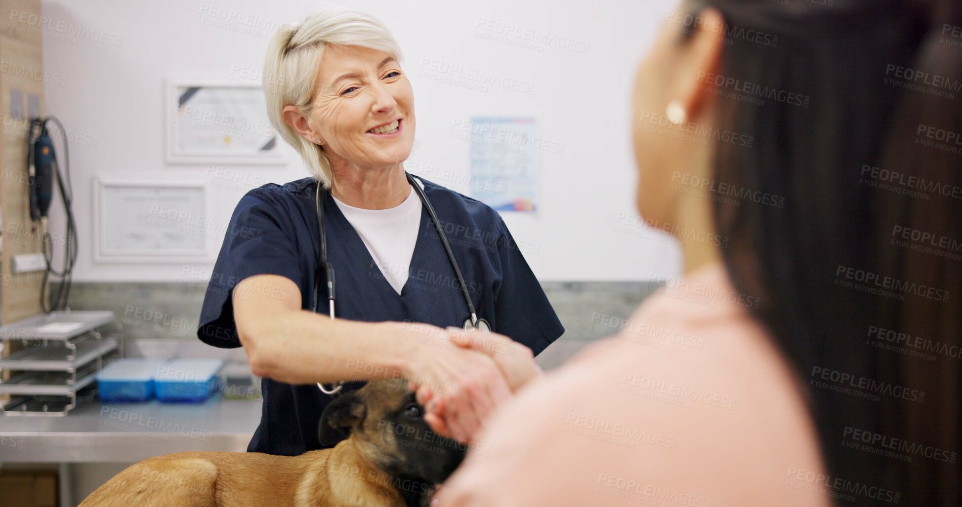 Buy stock photo Handshake, dog and woman, veterinary doctor and greeting person, hello or thank you for healing animal with smile. Pet care service, vet welcome or healthcare worker shaking hands with clinic client