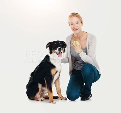 Buy stock photo Woman, dog and portrait with ball in studio for bonding, teaching tricks and together on white background. Owner, border collie and pet animal for obedience training, smile and friends with love