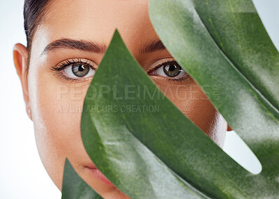 Buy stock photo Monstera, portrait or woman with plant for beauty on white background with herbs, shine or glow. Leaf, confident model or face of girl in studio with healthy cosmetics, hydration or collagen results