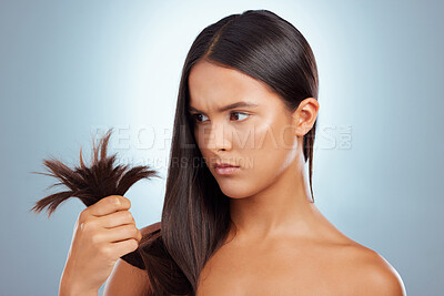 Buy stock photo Hair care, studio and woman with split ends, texture and checking haircut damage with salon results. Keratin treatment, dry hairstyle and worried Brazilian model girl isolated on blue background.