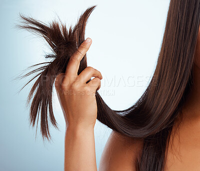 Buy stock photo Haircare, woman and hands in salon with split ends from damage repair treatment and shampoo mistake. Model, girl or unhealthy hair with growth fail, dry texture or cosmetics on blue studio background