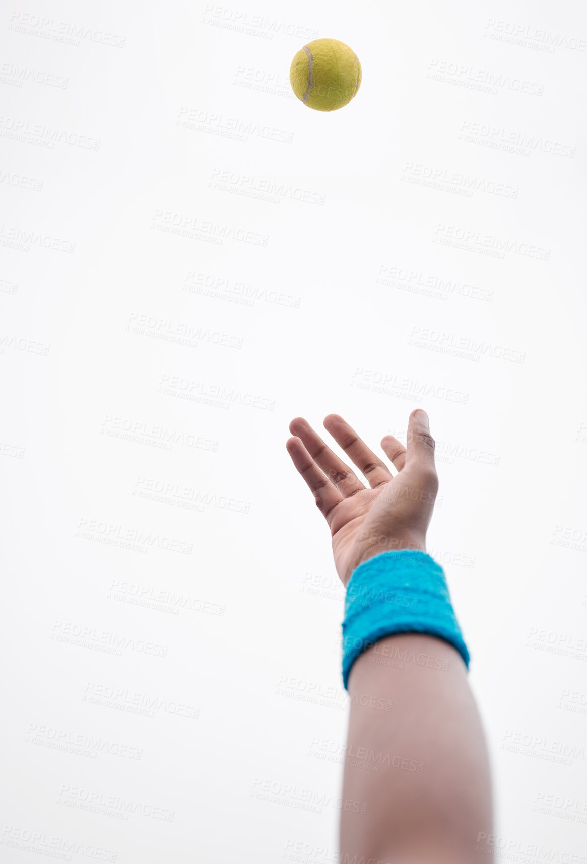 Buy stock photo Hand, ball and throw for tennis with serve, match and competition on white background. Person, athlete and blue wristband in sport for start, ready and recreational activity for fitness and exercise