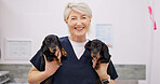 Mature, woman and veterinarian portrait with puppy, professional and animal doctor for wellness service. Pet insurance, happy and healthcare with employee, trust and smile for support with scrubs